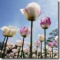 images 2